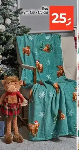 Dealz Koc świąteczny 130 x 170 cm oferta