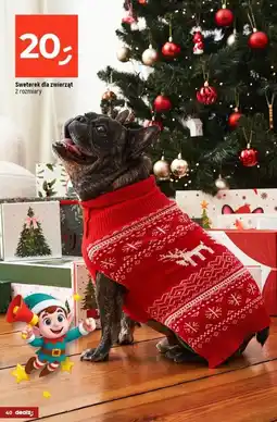 Dealz Sweter dla psa oferta