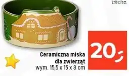 Dealz Miska ceramiczna dla zwierząt oferta