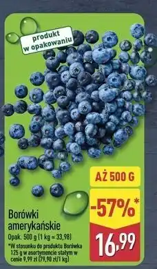 ALDI Borówka amerykańska oferta