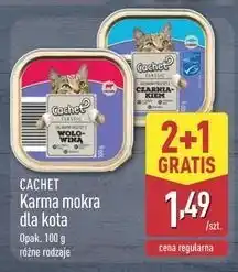 ALDI Karma dla kota wołowina Cachet oferta
