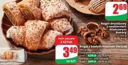 Dino Rogal z białym makiem Gwóźdź oferta