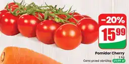 Dino Pomidor cherry oferta