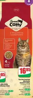 Dino Sucha karma dla kota Sweet Catty oferta