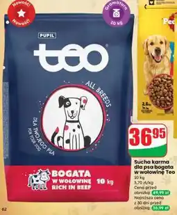 Dino Sucha karma dla psa bogata w wołowinę Teo oferta