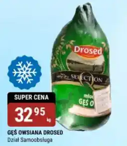 bi1 Gęś owsiana drosed dział samoobsługa oferta
