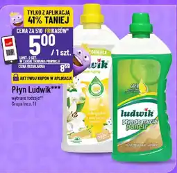 Polomarket Płyn Ludwik oferta