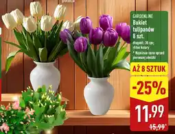 ALDI GARDENLINE Bukiet tulipanów oferta