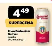 Netto Piwo b: original Budweiser Budvar oferta