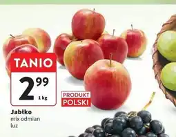 Intermarche Jabłka oferta