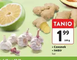 Intermarche Imbir oferta