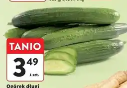 Intermarche Ogórek długi oferta