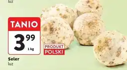 Intermarche Seler korzeń polska oferta