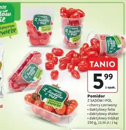 Intermarche Pomidory daktylowe folia Z Sadów I Pól oferta