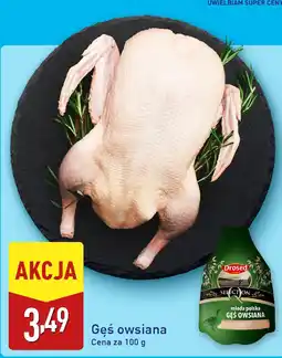 ALDI Gęś owsiana Drosed oferta