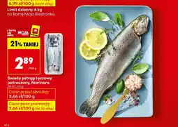 Biedronka Świeży pstrąg tęczowy patroszony Marinero oferta