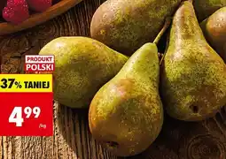 Biedronka Gruszka Konferencja na wagę Biedronka oferta