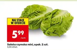 Biedronka Sałata rzymska mini 2 szt. Biedronka oferta