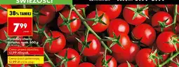 Biedronka Pomidory cherry gałązka Biedronka oferta