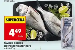 Biedronka Świeża dorada patroszona Marinero oferta