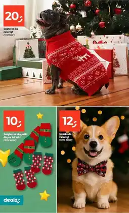Dealz Sweter dla psa oferta
