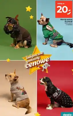 Dealz Sweter dla psa oferta
