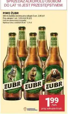 Stokrotka Market Piwo ŻUBR oferta