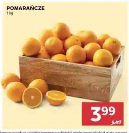 Stokrotka Market Pomarańcze oferta