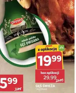 Stokrotka Market Gęś świeża oferta