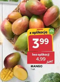 Stokrotka Market Mango oferta