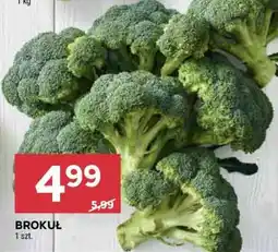 Stokrotka Market Brokuł oferta