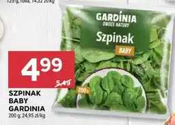 Stokrotka Market Szpinak Baby Gardinia oferta
