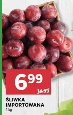 Stokrotka Market Śliwka importowana oferta
