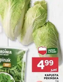 Stokrotka Market Kapusta pekińska oferta