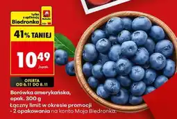 Biedronka Borówka amerykańska opak 300 g oferta