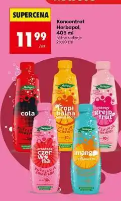 Biedronka Koncentrat Herbapol, 405 ml oferta