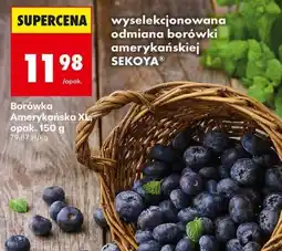 Biedronka Borówka amerykańska XL, opak. 150 g oferta