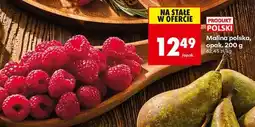 Biedronka Malina polska, opak. 200 g oferta