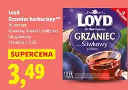 Lidl LOYD Grzaniec herbaciany oferta
