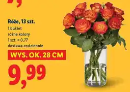 Lidl Róże, 13 szt oferta