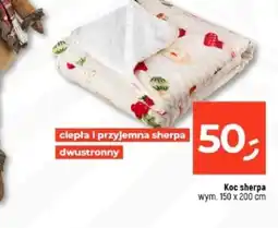 Dealz Koc Sherpa oferta
