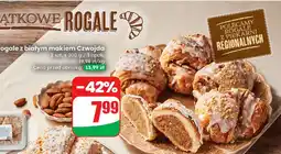 Dino Rogale z białym makiem 2 szt. Czwojda oferta