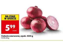 Biedronka Cebula czerwona oferta