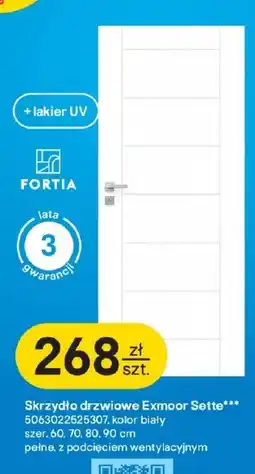 Castorama Skrzydło drzwiowe Fortia oferta