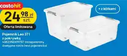 Castorama Pojemnik oferta