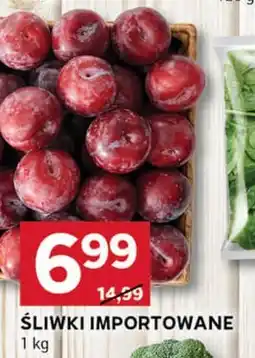 Stokrotka Optima Śliwki oferta