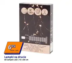 Action Lampki na drucie 80 lampek LED | 10 x 80 cm oferta