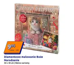 Action Diamentowe malowanie Boże Narodzenie 30 x 30 cm oferta