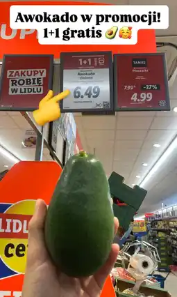 Lidl Awokado zielone 1+1 GRATIS Lidl oferta