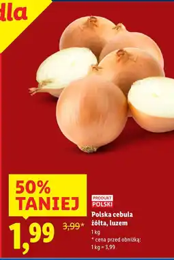 Lidl Polska cebula żółta, luzem Lidl oferta